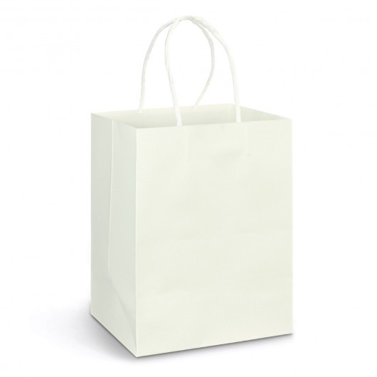 Full Colour Large Paper Carry Bags